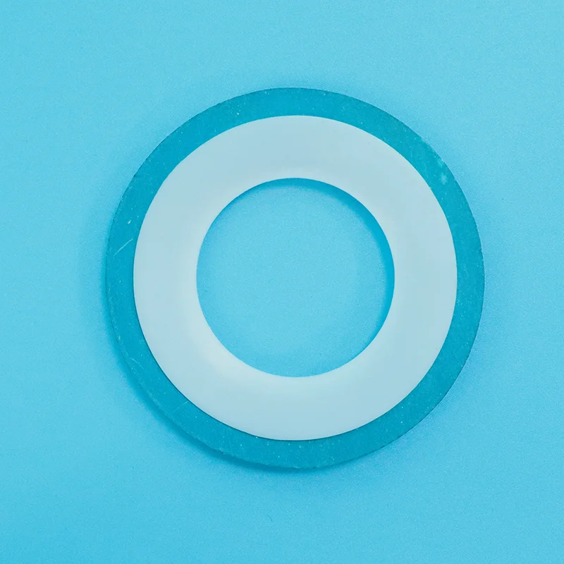 Typus A PTFE Involucrum Gasket