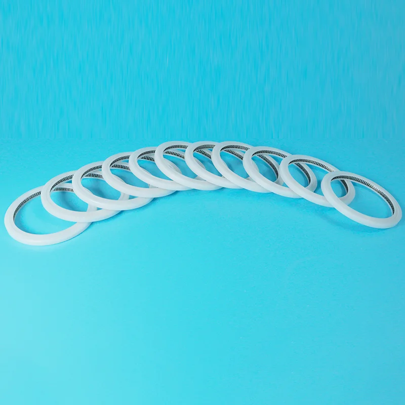 V-Type Spring Energized Sigillum