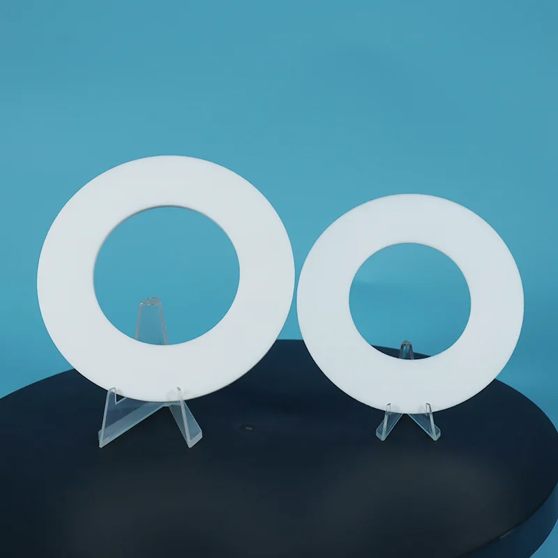 Virgo PTFE Flat Gasket